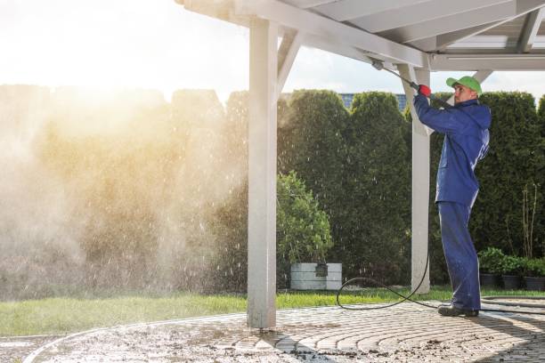 Best Soft Washing  in Bazon, CA