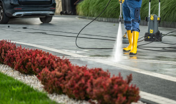 Best Dumpster Area Cleaning  in Bazon, CA